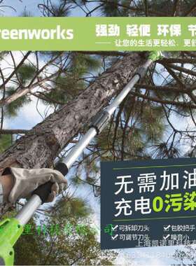 高枝锯 PSF401园艺果树杆锯40V高枝电锯电力修枝锯伸缩锯