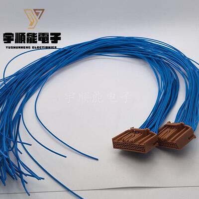 LOTES得意/嘉泽新能源汽车线BMS插头线束 AAUS01DS0-028K01 28PIN