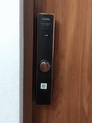 凯迪仕和德施曼哪个好细节区别有哪些?