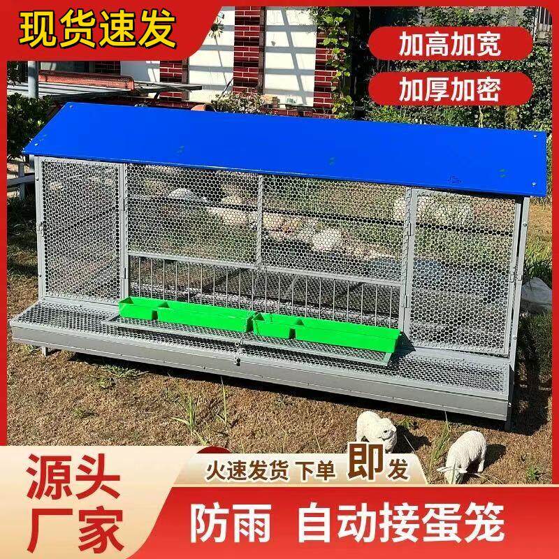尖顶自动接蛋款室外家用防黄鼠狼饲养笼鸽子鸭兔芦鸡鹅下蛋养殖笼