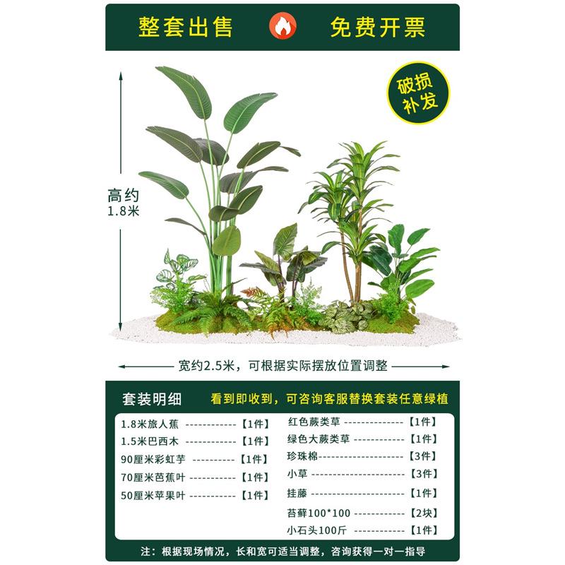 摆假植北欧室内装饰客厅叶生旅人绿色植物物蕉包造景真邮盆栽龟背