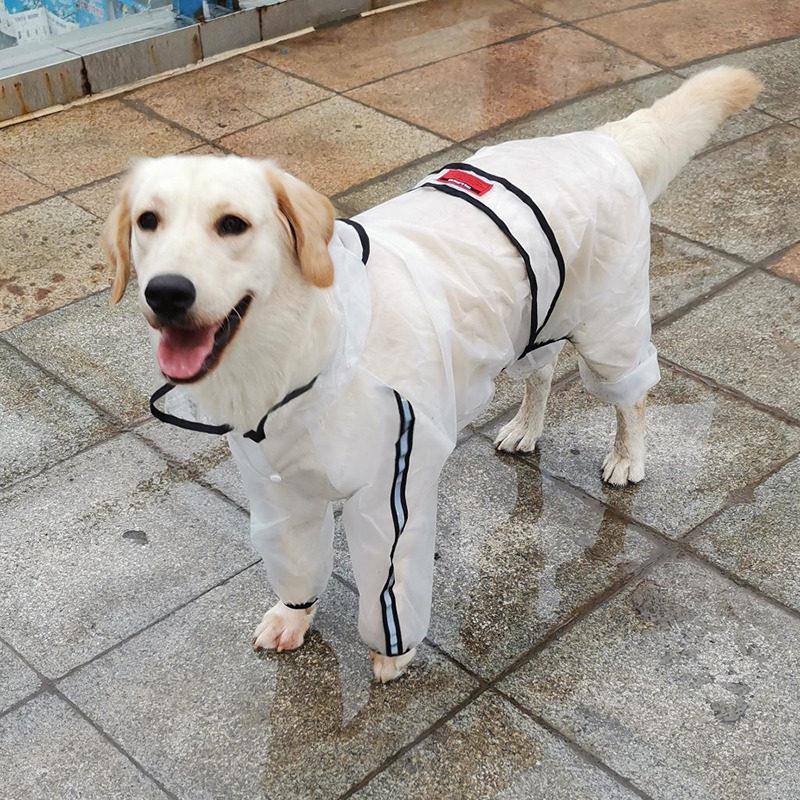 狗狗雨衣四脚透明泰迪金毛柴犬哈士奇小中大型犬宠物雨天防水衣服
