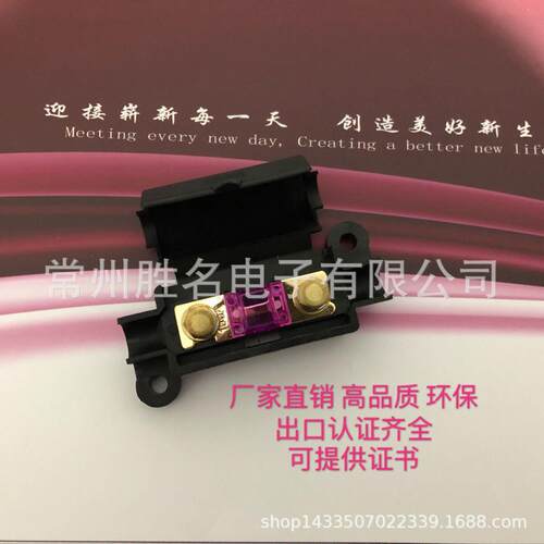 SWEANS 小号叉栓式保险丝 汽车空调保险座盒 40A50A60A70A80A150A