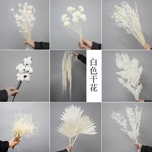 白色干花奶油风真花花束摆件装饰宿舍蓬莱松龙须草粉黛满天星棉花