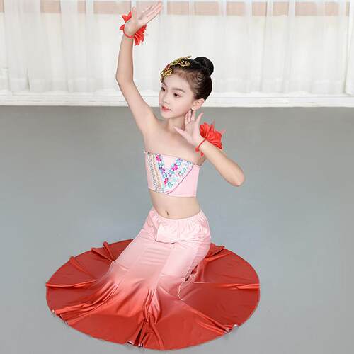 傣族舞蹈演出服儿童孔雀舞表演服女童修身练功练习鱼尾裙西双版纳