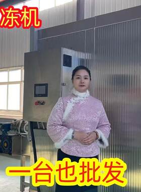 海参鲍鱼速冻设备 隧道低温速冻海鲜流水线 速冻机哪家好