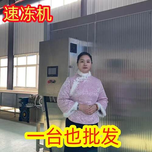 厂家供货 豆角速冻机 链条式隧道速冻设备 四季豆速冻机器 机