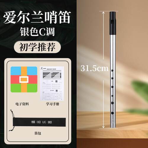 高档爱高兰哨笛c调D调专业级竖笛音乐质六孔金属笛子新款初尔学者