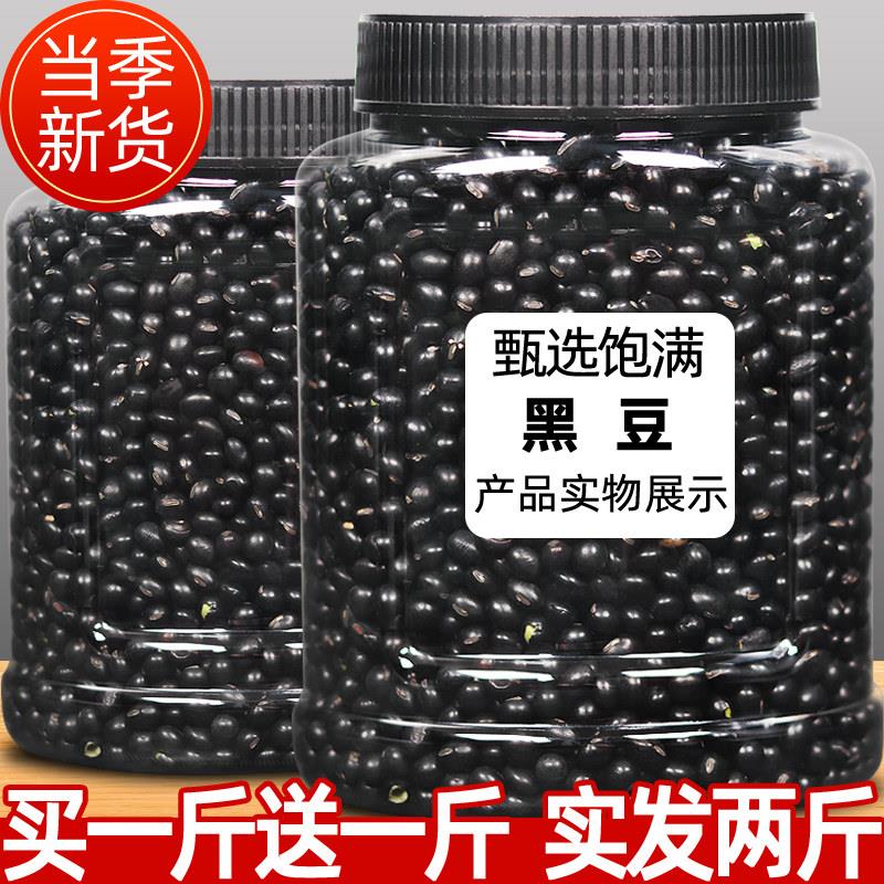 东北农家自产大罐装绿芯黑豆 五谷杂粮青仁乌豆1000g