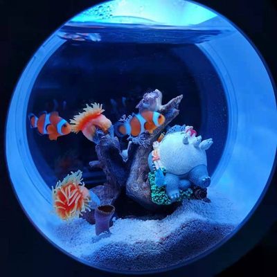 菲律宾珊瑚砂瑚砂骨底砂面粉沙海水缸鱼缸造景滤材珊瑚沙过滤滤材
