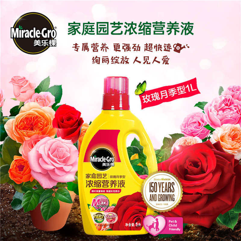 美乐棵月季玫瑰花苗营养液蔷薇花苗爬藤 四季肥料复合肥