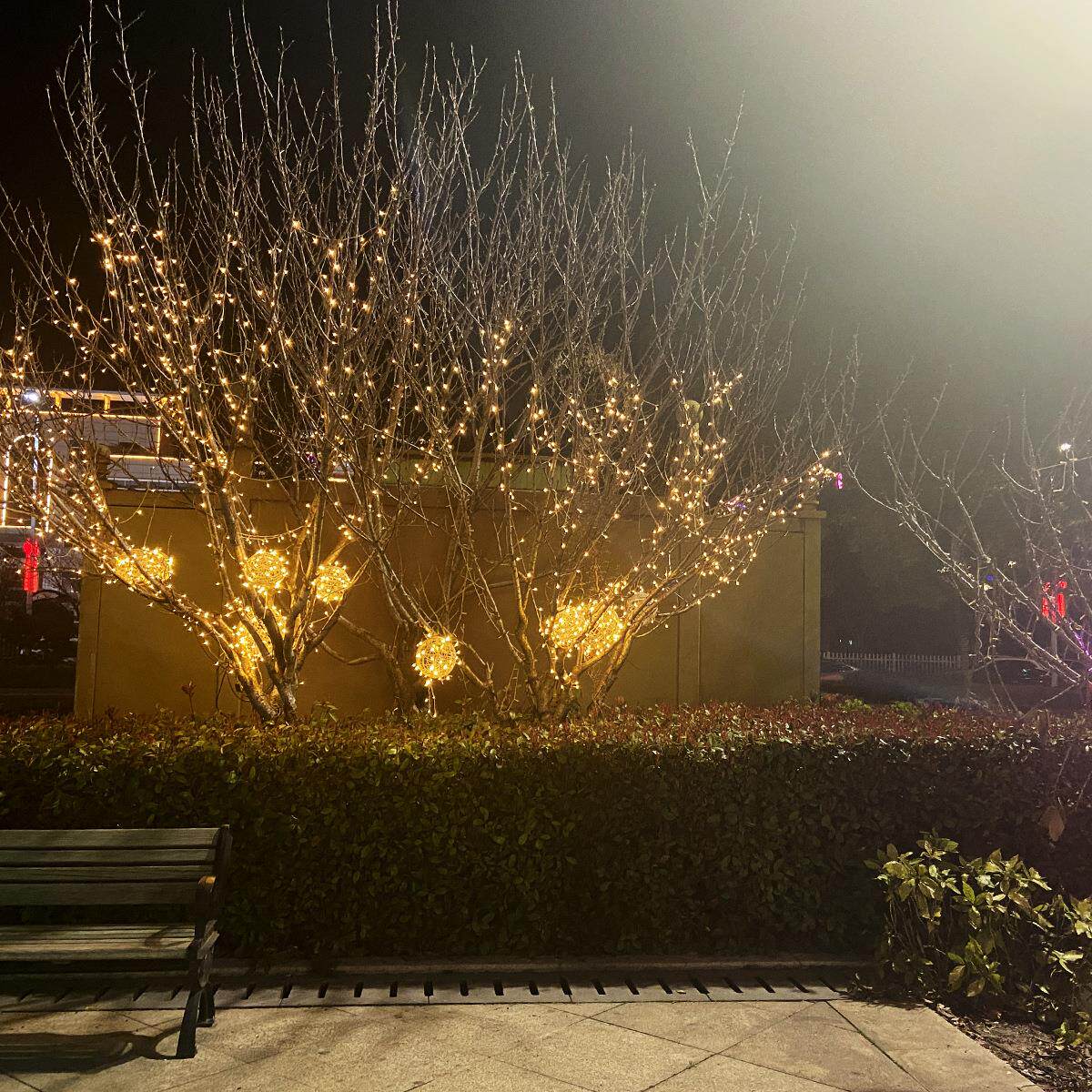 户外防水公园街道发光字灯树木亮化景观文化氛围灯led串挂彩灯