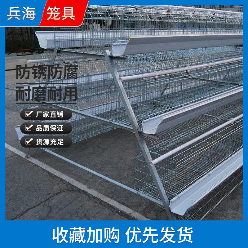 鸡笼三层四门阶梯式A型蛋鸡笼蛋鸡笼源头厂家冷热镀锌蛋鸡笼