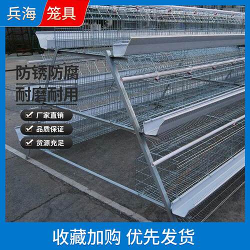 鸡笼三层四门阶梯式A型蛋鸡笼蛋鸡笼源头厂家冷热镀锌蛋鸡笼