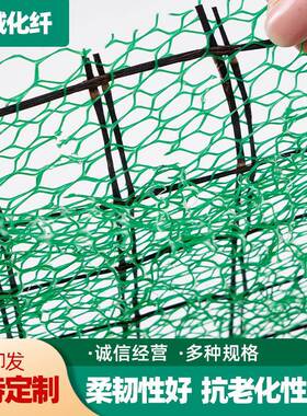 三维植被网护坡固土园林绿化网垫三维植草土工网绿色植被网