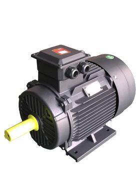 九派通YX3-100L2-43W380V三相调速马达/异步电动机/大功率