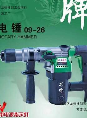 龙牌09-26电锤电镐两用带安全离合植筋电锤大功率冲击钻多功能