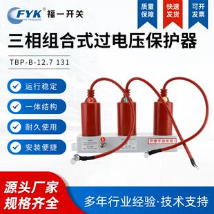 户内三相组合式装置避雷器计数器TBP-12.710KV过电压保护器红色