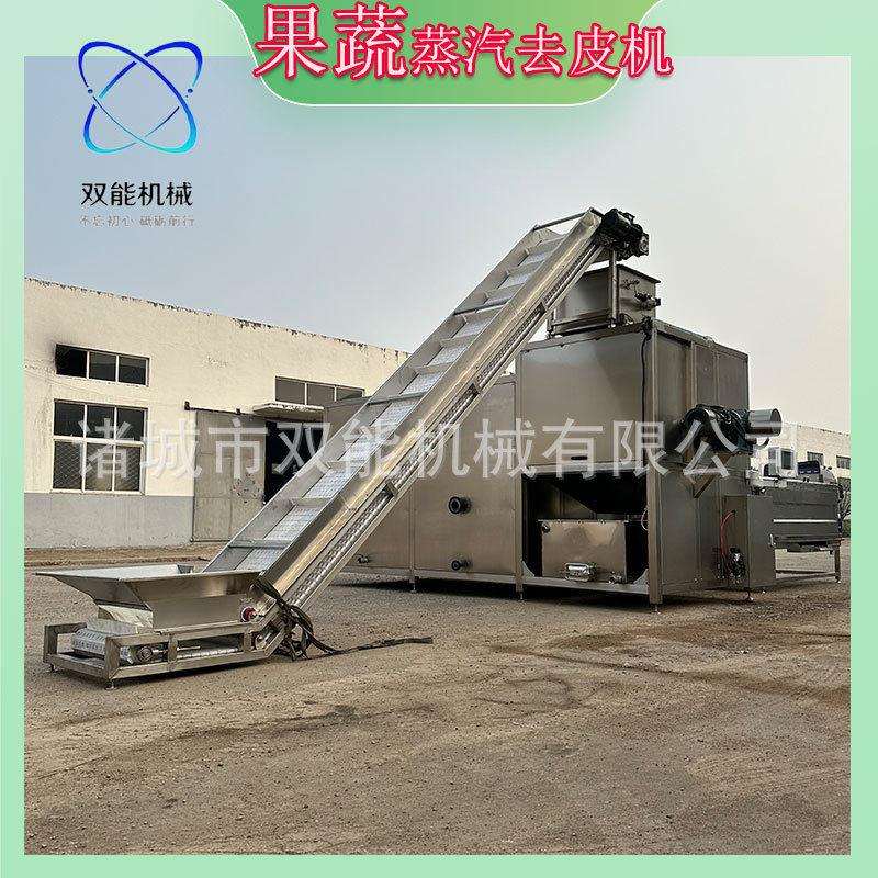 李子去皮机多功能果蔬蒸汽去皮机黄桃全自动脱皮机西红柿去皮设备