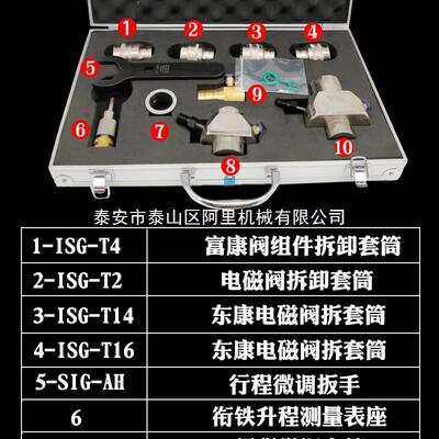 康NOM明斯ISG喷油器维装修工具套装福富康东康拆衔铁生成量测夹持