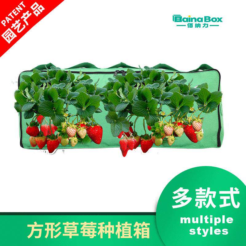 厂家定 制无纺布长方形多口草莓种植箱家庭阳台蔬果植物栽培花盆