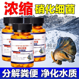 硝化细菌鱼缸用水族箱净水剂浓缩干粉水质净化消化细菌硝化菌胶囊