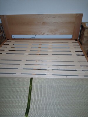 曝力评测原始原素全实木床怎么样,最全优缺点放在这里了!