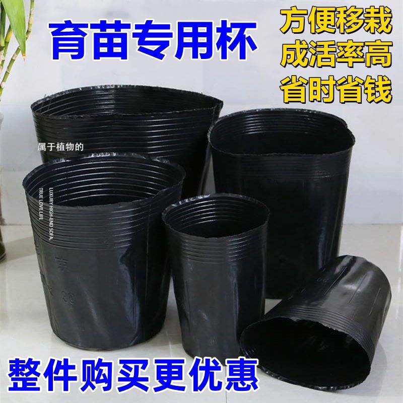 营养袋育苗袋营养钵育苗盆营养杯育苗杯塑料花盆加厚树苗杯防老化