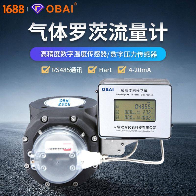 精度气体罗茨流量计防爆型天然气煤气沼气压缩空气等厂家直销
