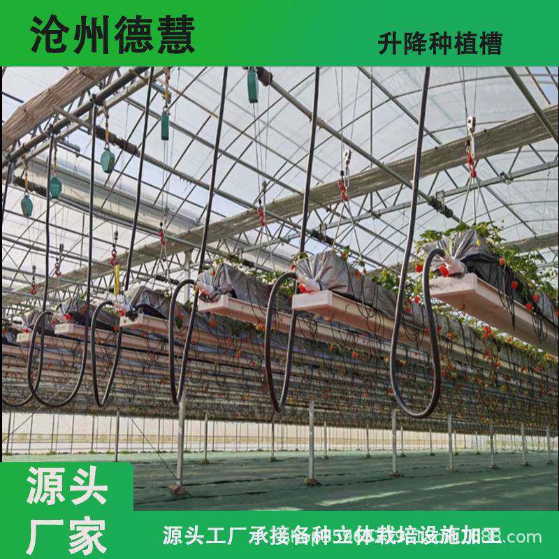 升降立体种植槽空中草莓无土栽培花卉蔬菜种植大棚高架草莓种植