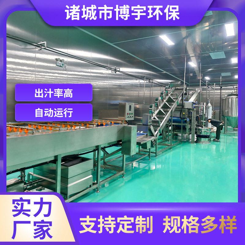 博宇桃榨汁黄设备水蜜桃杏子果汁生产MAGA-102线机器子大型工桃业