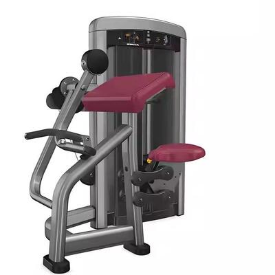 45度三头肌Tricepsà45degrés