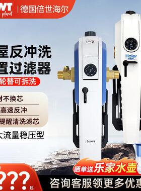 德国BWT前置过滤器家用 反冲洗过滤中央净水设备