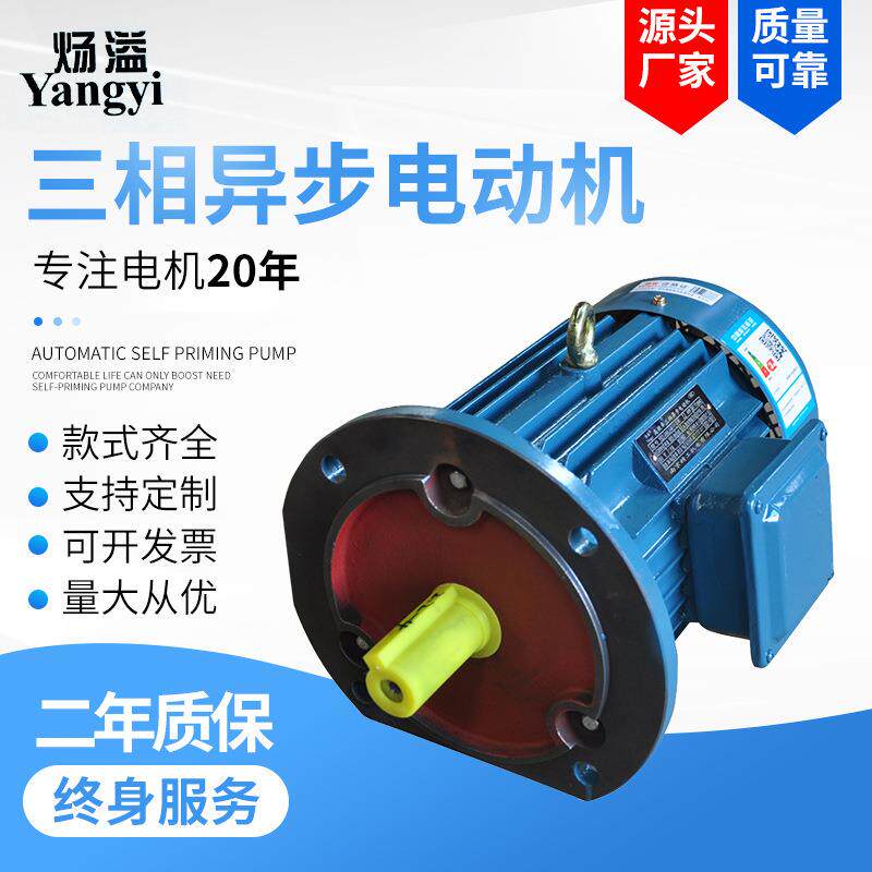 厂家供应YE413S-6极3W三相异步电动机马达全铜线交流电YE3