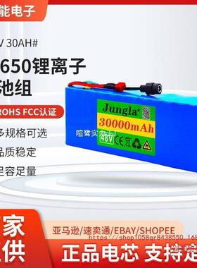 电动自行车电池 48v 30Ah 18650 锂离子电池组 13串3并+充电器