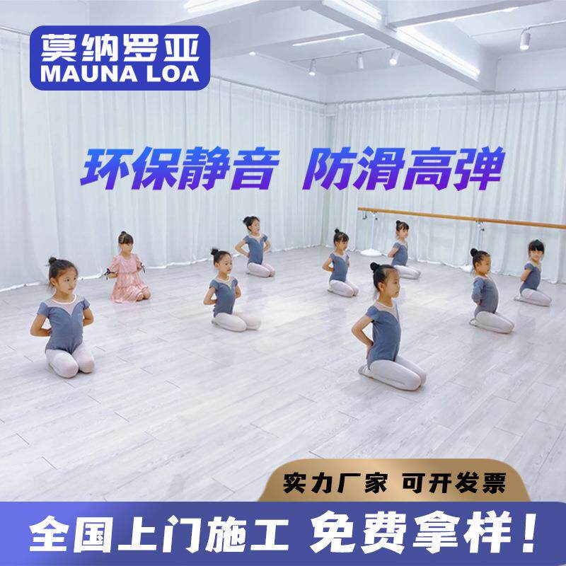 舞蹈室运动地胶pvc塑胶地板幼儿园健身房室内专用地垫