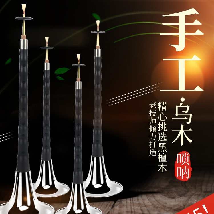浅竺乌木黑檀木唢呐乐器全套CEFGD调初学者老儿童大小号红木民间