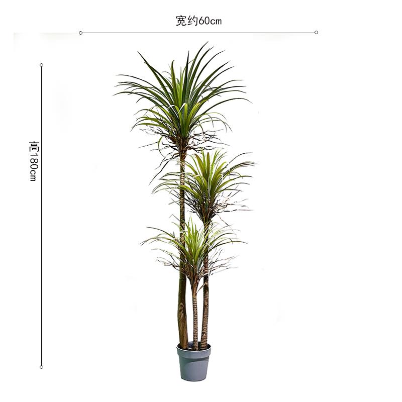 彷真假绿植仙人掌造景楼梯下空间转角景观布置网红露营风植物摆件