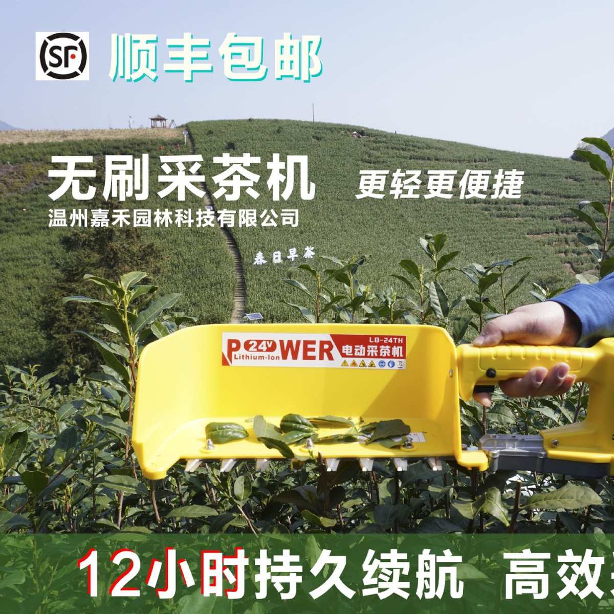 厂家无刷电动采茶机单人充电便捷式小型采摘机