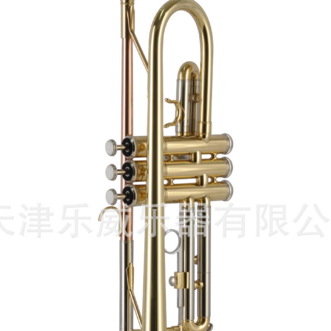 升级款降B调小号乐器初学专业演奏磷铜吹嘴管白铜变音管演奏型