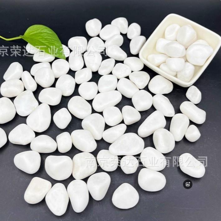汉白玉色砾石子石头鹅卵石铺路铺地园林枯山水白石装饰批天然石