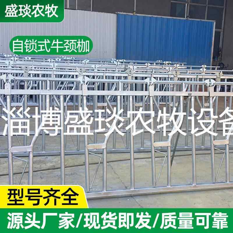 奶牛牧场专用牛颈夹 生产厂家畜牧养殖设备牛颈枷 自锁式牛颈枷