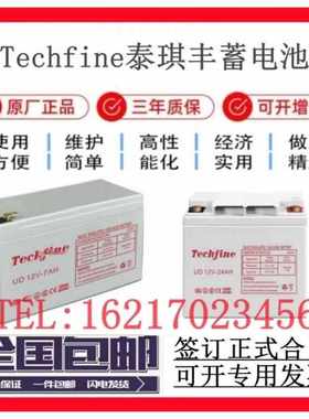 Techfine泰琪丰蓄电池UD12V-38AH7.2a17a24a40a65a100a150a200ah