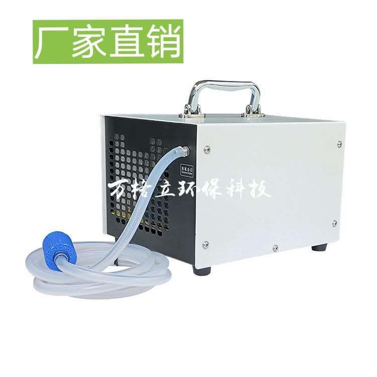 厂家直供 手提式小型家用水消毒臭氧发生器 臭氧消毒机 量大从优