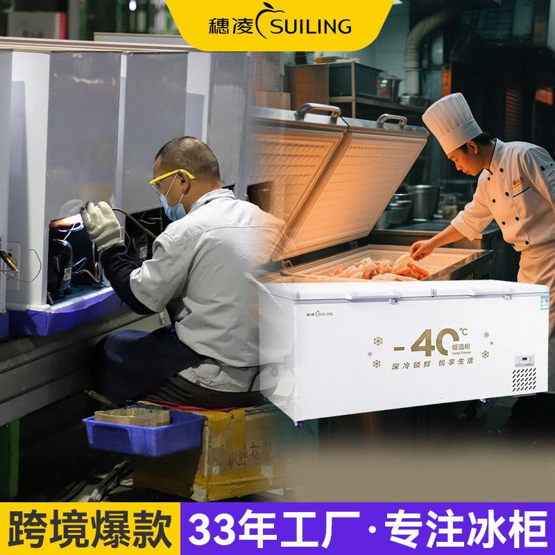 穗凌现货冰柜温商业用可冷冻冷藏卧式冰箱源头工厂商用冷冻柜