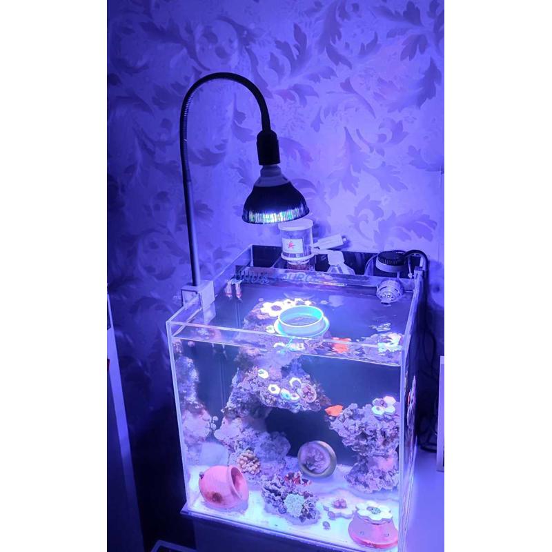 定制全光谱LED水族珊瑚灯海缸藻缸灯植物灯补光鱼缸灯泡