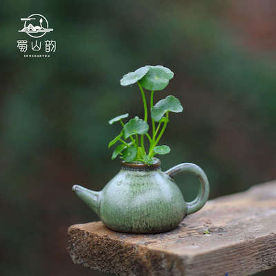 铜钱草植物微型水培盆栽办公室好养绿植室内懒人迷你小植物水栽