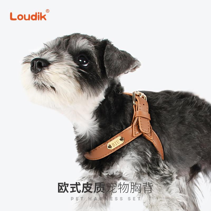 Loudik工厂防水皮质狗狗胸背带宠物牵引绳套装中小型犬跨境