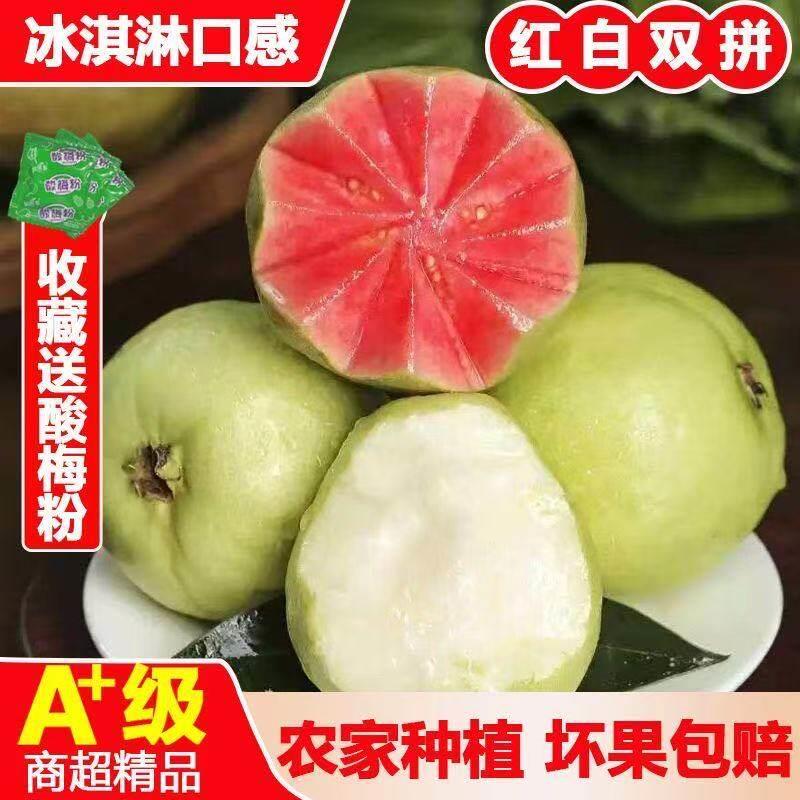A+级红白双拼番石榴农家种植冰淇淋口感新鲜现摘现发坏果包赔