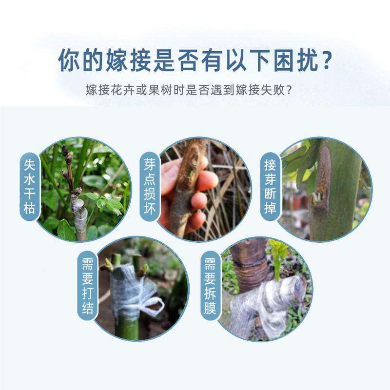 糯米纸膜自粘免拆嫁降解蔷薇月接季花卉糯米纸嫁可金蛋子盆景嫁接